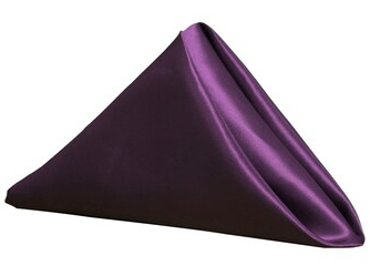 Satin Napkin Raisin