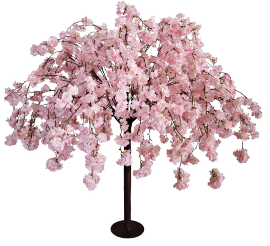 Cherry Blossom Tree