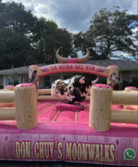 Mechanical Bull La Reina