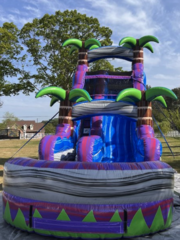 Purple Tropical Waterslide 18