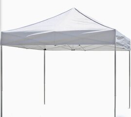 Canopy 10x10