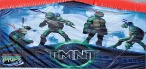 Teenage Mutant Ninja Turtle Panel.