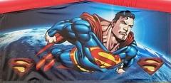 Superman Panel.