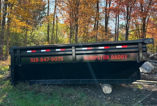 Dumpster Daddy residential dumpster placed in a driveway for waste disposal and cleanup service