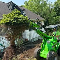 brush removal glenville