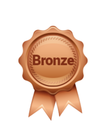 Bronze Sponsorship