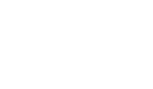 Dumpster City Inc.
