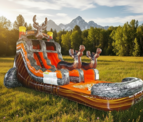 16' Buck Shot Waterslide