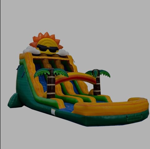 18ft Dual Tropical Sun Waterslide