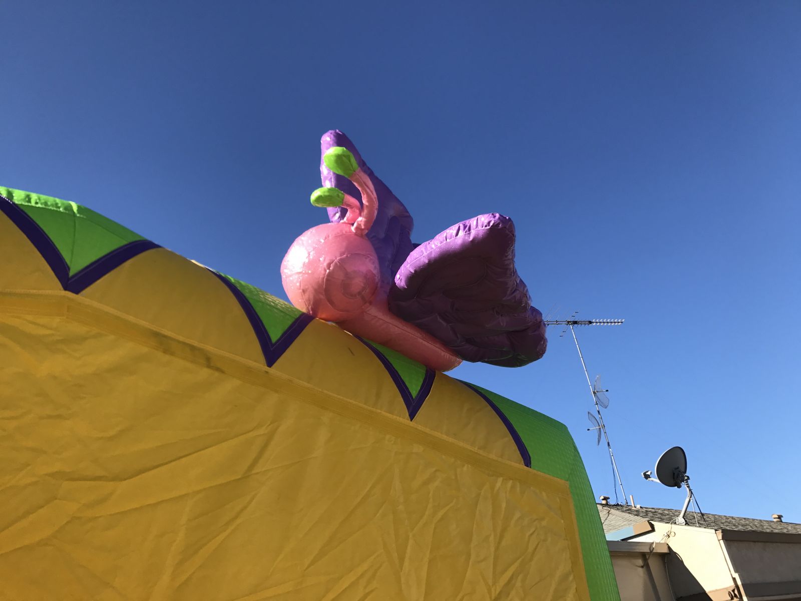 Bounce House Rentals bounce house rentals and slides for parties in