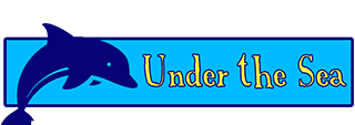 Under the Sea themed bounce house rentals in Austin Texas from Austin Bounce House Rentals