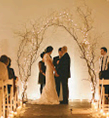 Twig Arch with White Lights