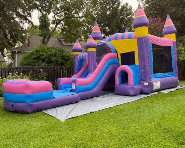 Wet Combo Cotton Candy Pink and Purple Front facing Slide w/Hoop 