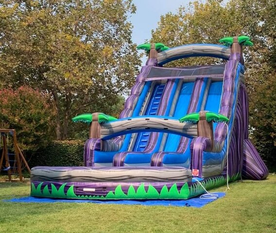 Purple Tropics Dual Lane Water Slide
