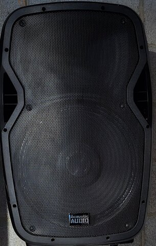 12in Bluetooth Speaker