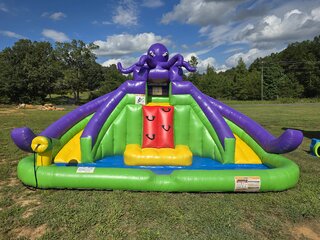 The Little Octopus (Toddlers Only)