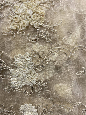 Champagne Dazzle Overlay 120