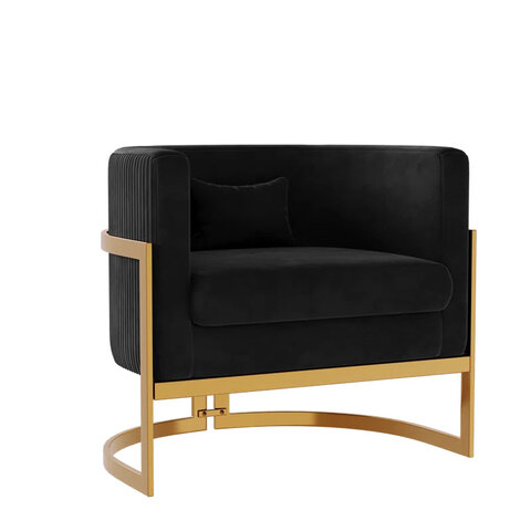 Black and Gold Chair