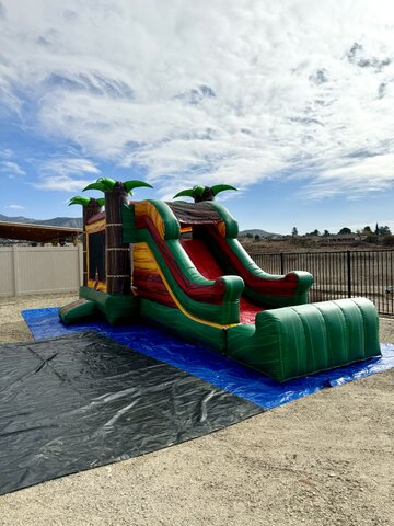 Tropical 4-in-1 Combo set up at a backyard celebration