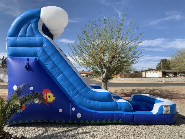 The Fish Single Lane Waterslide