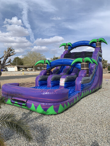 Purple Palm Craze Dual Lane Waterslide