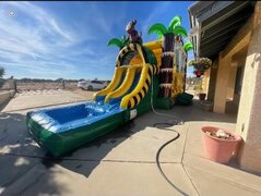 Rain Forest Jumper with Dual Lane Slides