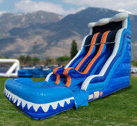 Water & Dry Slide Rentals