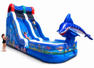 18ft Fish Wet-Dry Slide