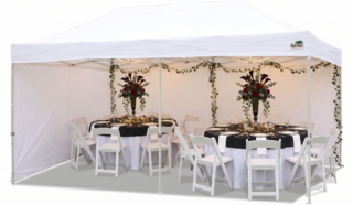 Walls & Windows Kit for 10x20 Canopy