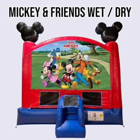 MICKEY AND FRIENDS COMBO WET / DRY