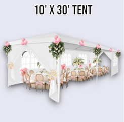 10' x 30' TENT