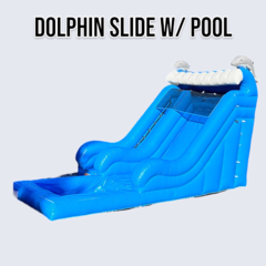 DOLPHIN SLIDE WITH POOL