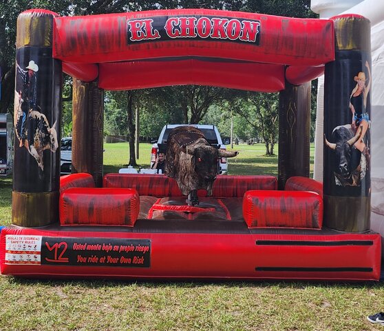 MECHANICAL BULL