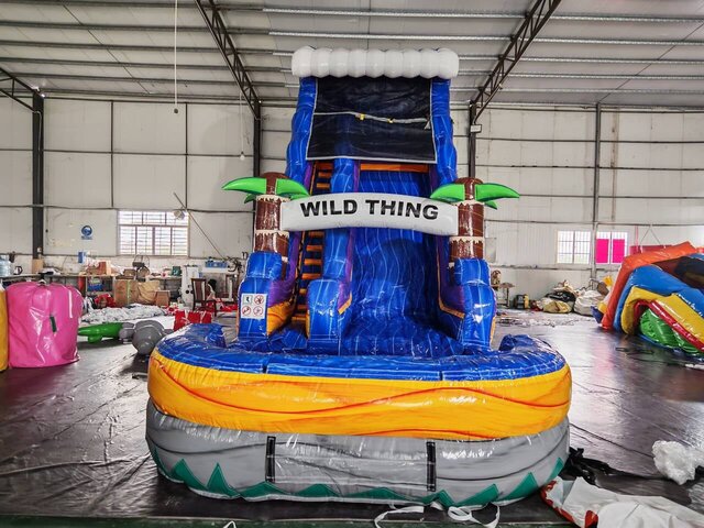 19ft Wild thing 