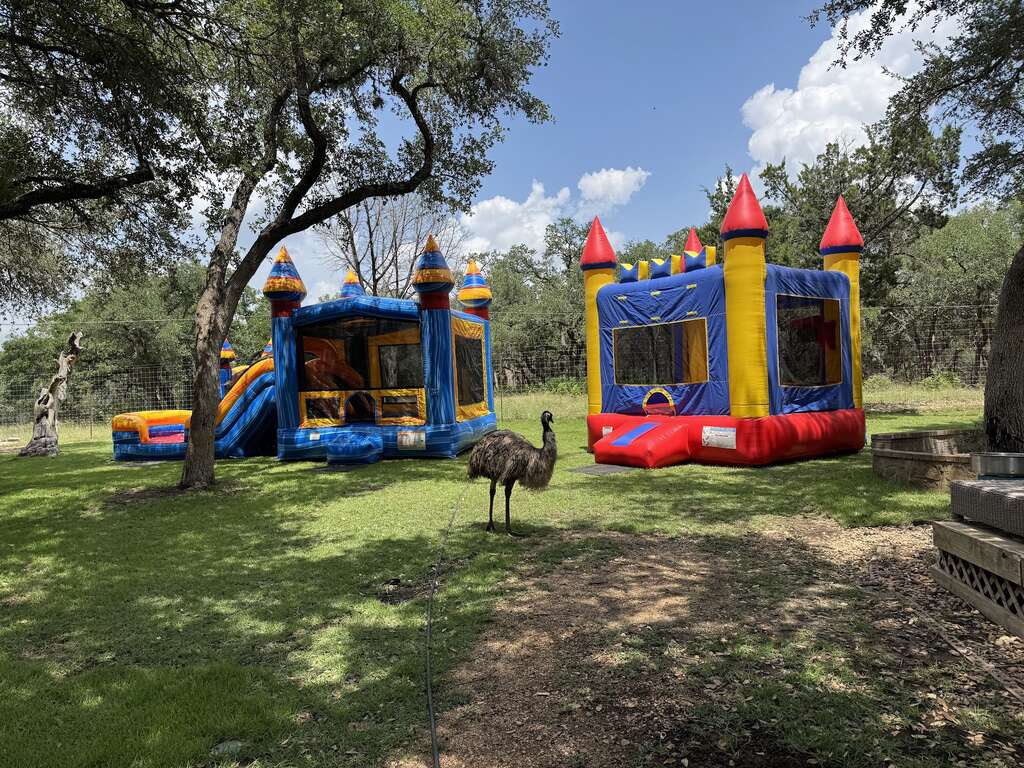 Professional inflatable setup by E&E Rentals in San Antonio
