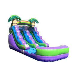 12Ft Purple Rain Forest Water Slide