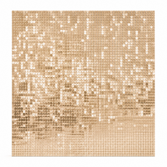 Champagne Shimmer Wall