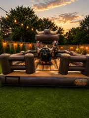 Wild West Bull