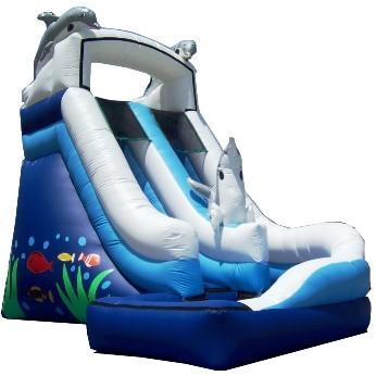 Dolphin Curve Water Slide