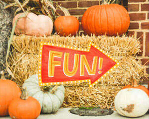 Halloween party planning ideas for family-friendly events