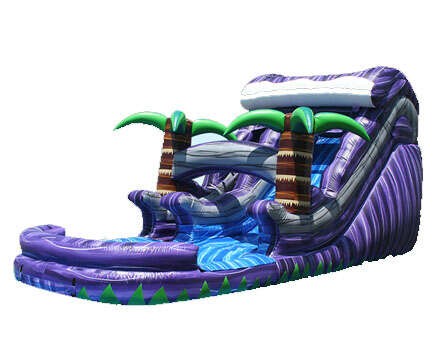 Purple Crush Water Slide Rental