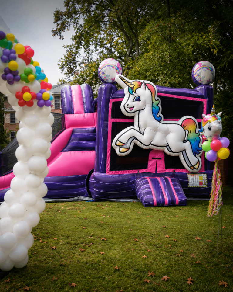 Princess themed inflatable rental delivered and set up
