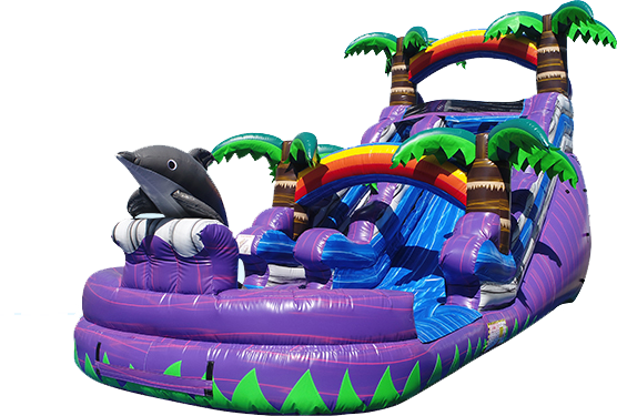 Purple Dolphin 15t Water Slide 531
