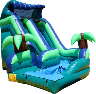 Tropical-Curvy-Water-Slide-w-Pool-521