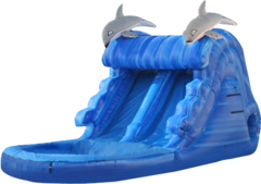 Swim With the Dolphins Water Slide 529