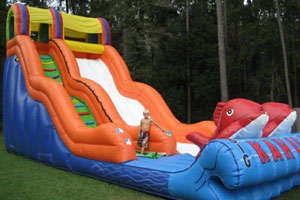 water slide rentals Cantonment fl