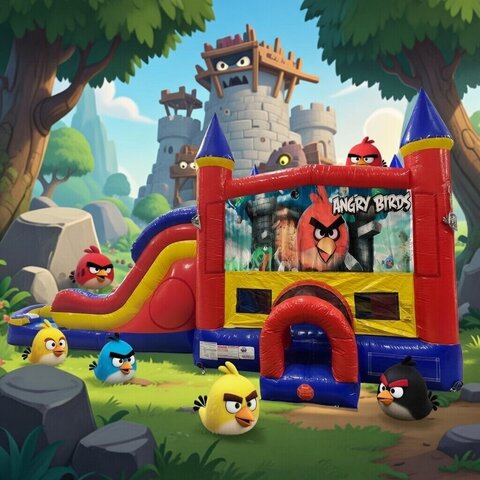Angry Birds Double Lane Water Slide with Bounce House 