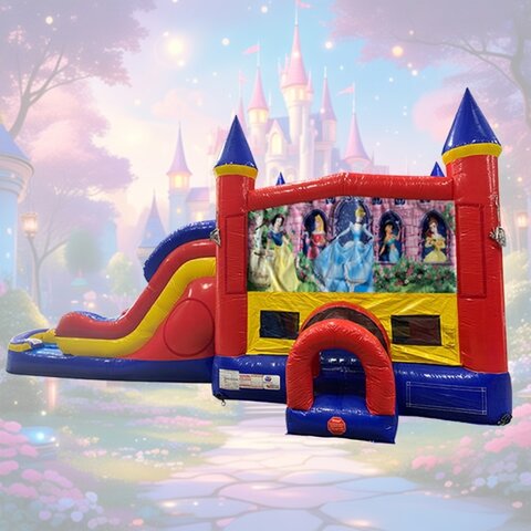 Disney Princess Double Lane Combination