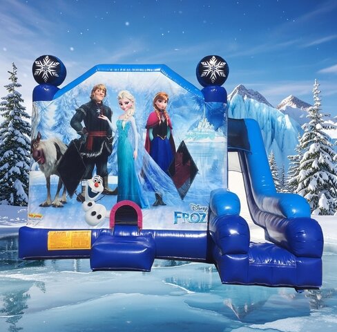 Frozen 4-in-1 Combination 