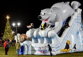 30 Foot Double Lane Arctic Plunge Sllide